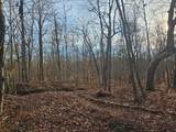 029    003 Smith Mountain - Photo 9