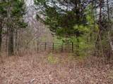 1397 County Road 609 - Photo 5