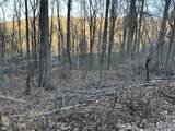Lot 32 33 Stone Ridge Road Road - Photo 2