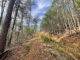 Lot 36 Bullet Mountain Drive - Photo 10