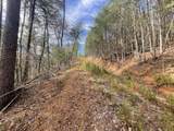 Lot 36 Bullet Mountain Drive - Photo 11