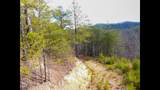 Lot 36 Bullet Mountain Drive - Photo 12