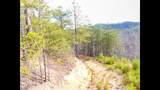 Lot 36 Bullet Mountain Drive - Photo 13