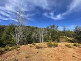 Lot 36 Bullet Mountain Drive - Photo 4