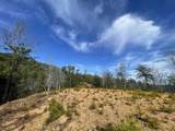 Lot 36 Bullet Mountain Drive - Photo 5