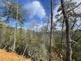 Lot 36 Bullet Mountain Drive - Photo 9