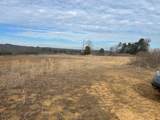 00 Hwy 30 Decatur Pike 52 Acres - Photo 12