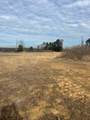 00 Hwy 30 Decatur Pike 52 Acres - Photo 13