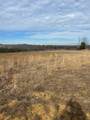 00 Hwy 30 Decatur Pike 52 Acres - Photo 14