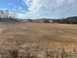 00 Hwy 30 Decatur Pike 52 Acres - Photo 9