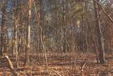 0 Curtis Road - Photo 11