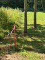 61.66 Acre Chestnut Valley Road - Photo 10