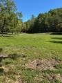 61.66 Acre Chestnut Valley Road - Photo 15