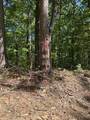 61.66 Acre Chestnut Valley Road - Photo 19