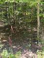 61.66 Acre Chestnut Valley Road - Photo 2