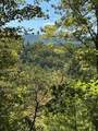 61.66 Acre Chestnut Valley Road - Photo 20