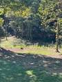 61.66 Acre Chestnut Valley Road - Photo 5