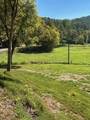 61.66 Acre Chestnut Valley Road - Photo 6