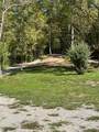 61.66 Acre Chestnut Valley Road - Photo 8
