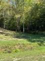 61.66 Acre Chestnut Valley Road - Photo 9