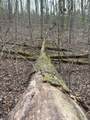 0 Maple Springs Road - Photo 12