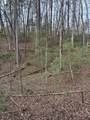 0 Maple Springs Road - Photo 18