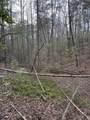 0 Maple Springs Road - Photo 20