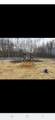 8415 River Road Road - Photo 34