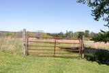 175 Twitty Road - Photo 35