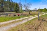 125 County Road 273 - Photo 8