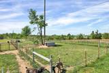 330 Blueberry Acres - Photo 18