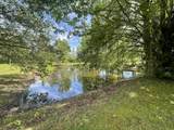 13431 New Highway 68 - Photo 38