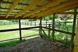 1319 Ideal Valley Road - Photo 15