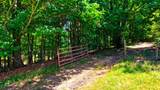 1319 Ideal Valley Road - Photo 46