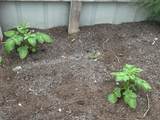 145 Pinhook Road - Photo 28