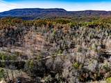 2277 Tellico Reliance Road - Photo 10