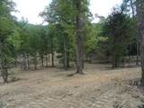 2277 Tellico Reliance Road - Photo 25