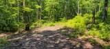 5.21 Acres Browns Holler Road - Photo 10