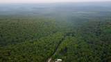 5.21 Acres Browns Holler Road - Photo 9