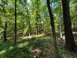 Lot 3 Highway 304 - Photo 36