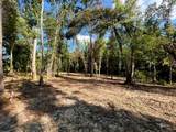Tract 2 Pleasant Hill Road - Photo 3