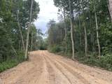 Tract 4 County Road 897 - Photo 5