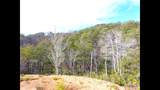 Lot 36 Bullet Mountain Drive - Photo 20