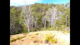 Lot 36 Bullet Mountain Drive - Photo 23
