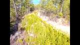 Lot 36 Bullet Mountain Drive - Photo 27