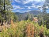 Lot 36 Bullet Mountain Drive - Photo 40