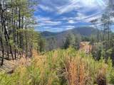 Lot 36 Bullet Mountain Drive - Photo 42