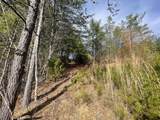 Lot 36 Bullet Mountain Drive - Photo 43