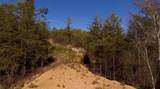 Lot 36 Bullet Mountain Drive - Photo 44