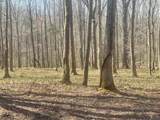 174 Turner Lane - Photo 37